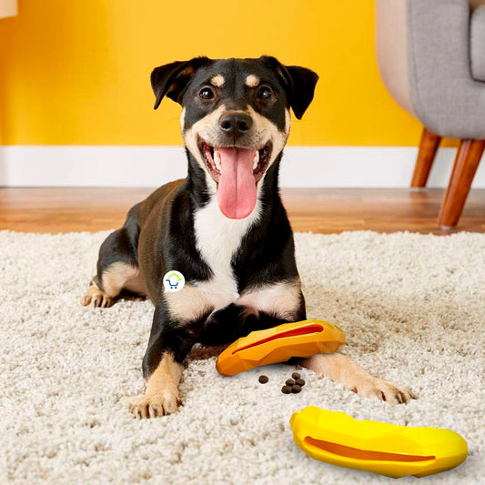 Juguete interactivo para perro